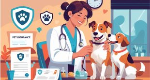 Pet Insurance In Illinois For Emergency Care