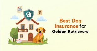 Best Dog Insurance For Golden Retrievers