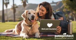Best Pet Insurance In California For Dogs