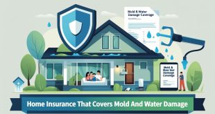 Home Insurance That Covers Mold And Water Damage